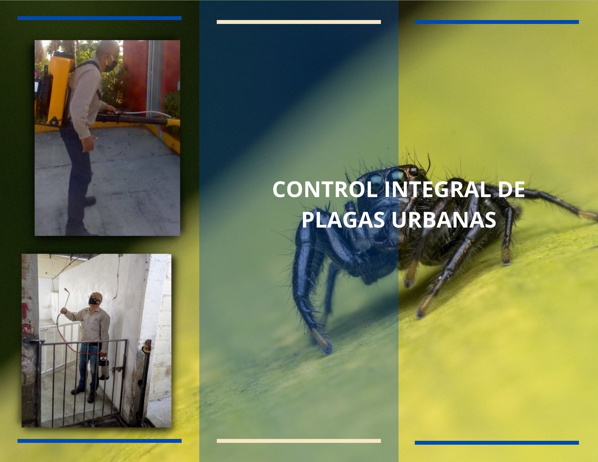 IMAGEN CONTROL DE PLAGAS IMAGEN CONTROL DE PLAGAS