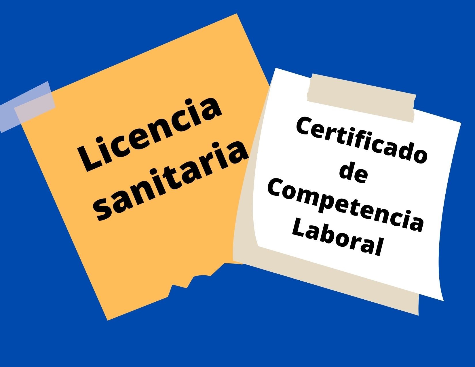 Licencia sanitaria Licencia sanitaria